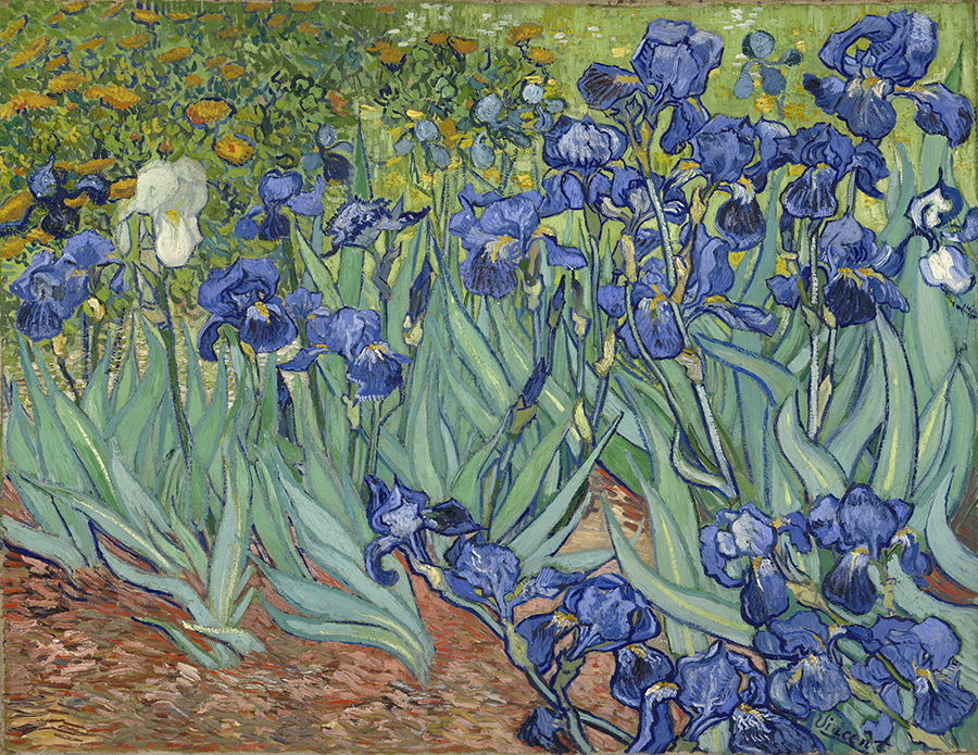 Irises painting by Vincent Van Gogh